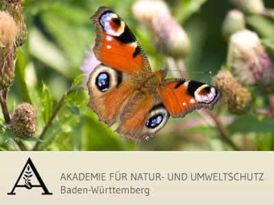 Insektenfreundliche Aussenbeleuchtung